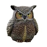 Grasslands Road Garden Life Wise Owl with Metal Glasses Hide a Key Figurine