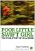 Poor Little Swift Girl