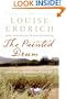 The Painted Drum: A Novel (P.S.)
