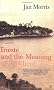 Trieste and the Meaning of Nowhere