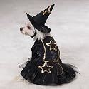 Dog Little Witch Halloween Costume - X Small - Pet Custome