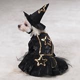 Dog Little Witch Halloween Costume - Small - Pet Custome