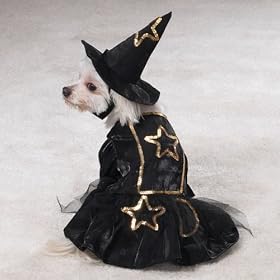 Dog Little Witch Halloween Costume - X Small - Pet Custome