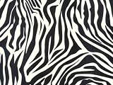 Zebra Black & White Striped Tissue Paper 20