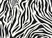 Search : Zebra Black & White Striped Tissue Paper 20" x 30" - 20 Large Sheets