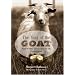 The Year of the Goat: 40,000 Miles and the Quest for the Perfect Cheese
