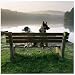 2 Dogs on Bench Photographic Poster Print by Peter Ciresa, 16x16