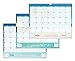Blue Sky 2016-2017 Academic Year Wall Calendar, Wire-O Binding, 15