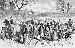 Freed Slaves Enter Union Lines, Harper's Weekly, Feb. 21, 1863 Photograph - Beautiful 16x20-inch Photographic Print from the Library of Congress Collection