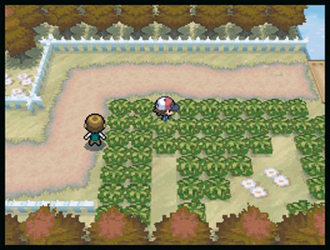 Imagen 5 de NDS Pokémon Blanco