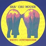 Photo Synthesizer