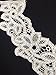 2 Pieces, Pretty Neckline Applique Floral, Swirl, and Dot Venise Lace, White, 6.5