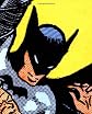 Batman The Complete History: The Life and Times of the Dark Knight