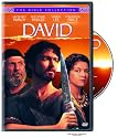 David: The Bible Collection
