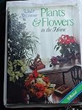 Plants & flowers in the home