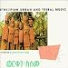 Gold From Wax: Ethiopian Urban & Tribal Music picture