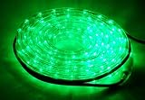 LED Lichterschlauch 10 Meter, grün