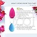 360 Beauty Cosmetic Perfection Sponge Features Larger Size with Air Drying Canister for Blending and Contouring Seamless Foundation Latex Free Makeup Cosmetics Blender