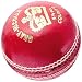 Sporting Goods : Gray-Nicolls Leather County 5.5 Ounce Cricket Ball