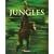 Frans Lanting: Jungles