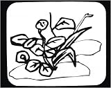 Decorated Mouse Pad with flora, leaves, flower