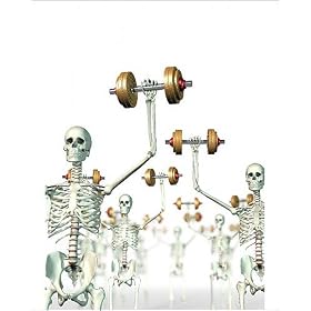 Photographic Prints of Bone strength from Science Photo Library