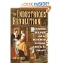 The Industrious Revolution: Consumer Behavior and the Household Economy, 1650 to the Present