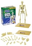 Wild Republic Science Kit Human SkeletonIMAGE