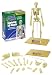 Wild Republic Science Kit Human Skeleton