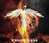 RAGING BLOOD(TYPE:R)