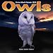 2009 Owls Wall Calendar
