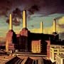Sheep (1992 Digital Remaster)