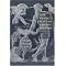 Egyptologica: Art: General