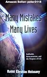 Many Mistakes Many Lives [Paperback] by Rabbi Ebrahim Neissany