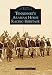 Tennessee's Arabian Horse Racing Heritage (TN) (Images of America)
