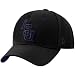 Zephyr LSU Tigers Black Fadeout II Fitted Hat