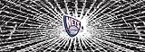 New Jersey Nets Shattered Auto Rear Window Decal