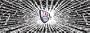 New Jersey Nets Shattered Auto Rear Window Decal