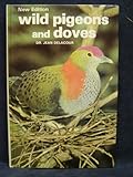 Wild pigeons and doves