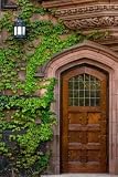 Antique Wooden Door - 24
