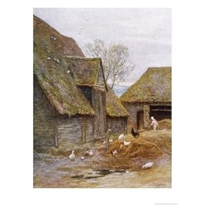 The Farmer's Wife Feeds Her Poultry in a Kent Farmyard Stretched Canvas Poster Print