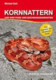 Kornnattern und ihre Farb- und Zeichnungsvarianten