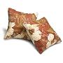 Strathwood 14-Inch Outdoor Pillows, Set of 2, Donatella Lacquer