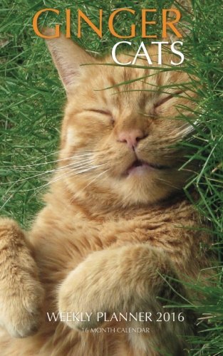 Ginger Cats Weekly Planner 2016: 16 Month Calendar