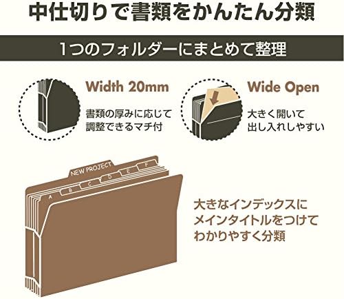 Budgerigar Aktivhotel 12 index folder A4 13 pocket Pink (japan import)