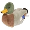 Mallard Duck -  Audubon Plush Bird (Authentic Bird Sound)
