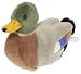 Mallard