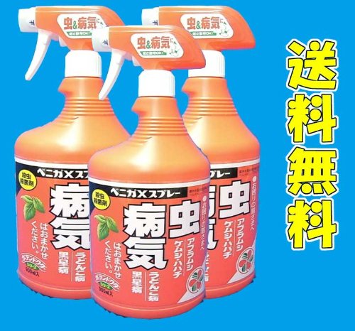 殺虫剤 スプレー 900ml x3本　ベニカXスプレー 春蘭 富貴蘭 洋ラン