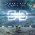Brief Nocturnes and Dreamless Sleep (Limited �dition)