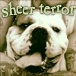 Bulldog Edition